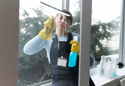 Nettoyage de vitres intérieures et extérieures à Crevin
